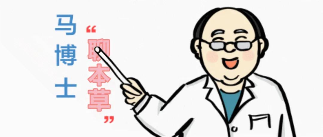 中医深度解析黄芪,挑选正宗黄芪的方法