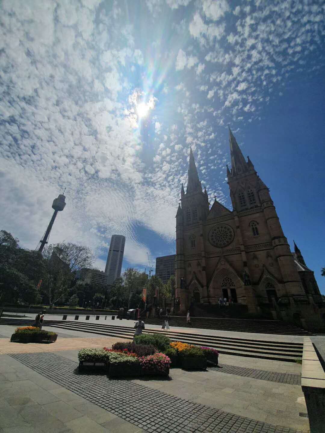 缺钱学什么技术好,缺钱缺人缺技术