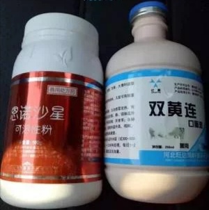 貉子都有什么病,貉子腹泻是什么原因