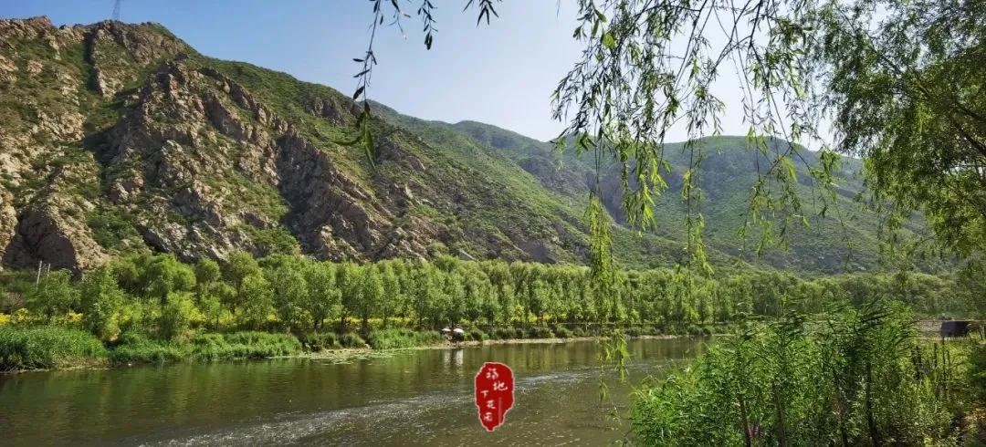 张家口市洋河河道,洋河风景