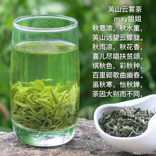 英山云雾茶手工茶,英山云雾茶哪个品牌好