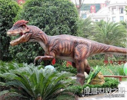 恐龙最凶猛前十名,有些恐龙凶猛异常