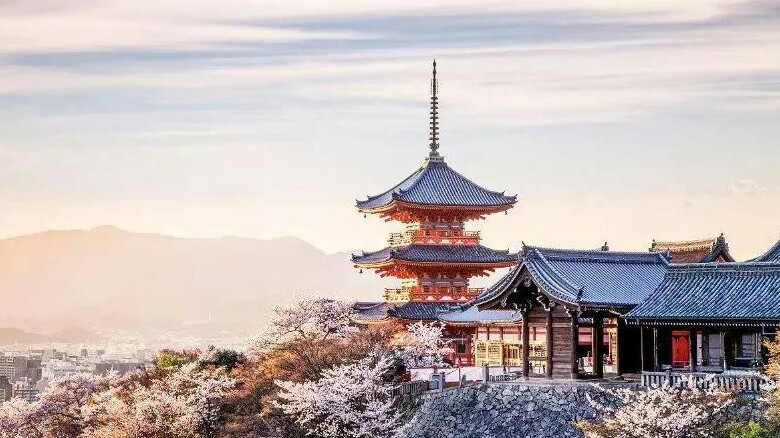 武大的樱花和东湖的樱花,重邮樱花和武大樱花