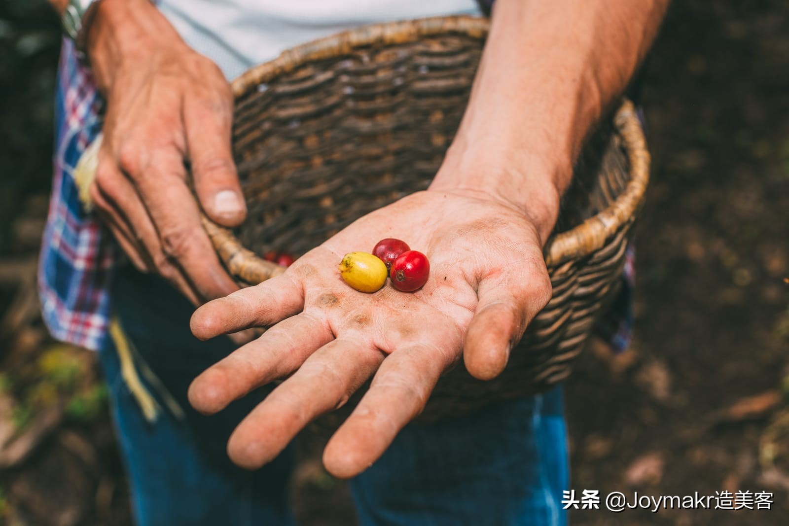 哥伦比亚最佳旅游景点,哥伦比亚游玩