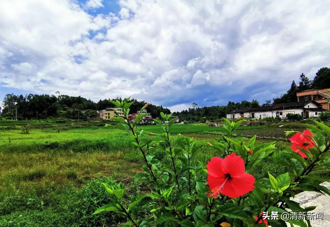 讲好秦都故事传承红色文化,清远秦皇山红色革命教育基地