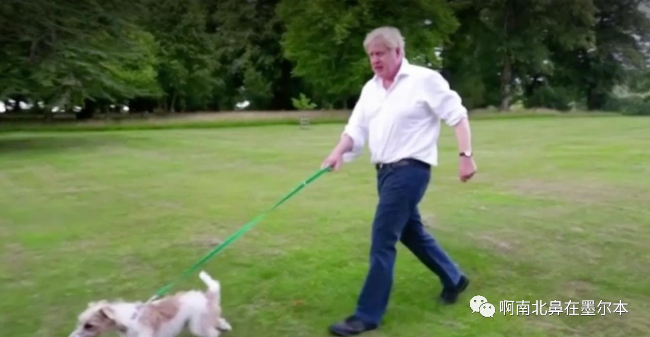 减肥抵抗病毒,抗击疫情减肥计划