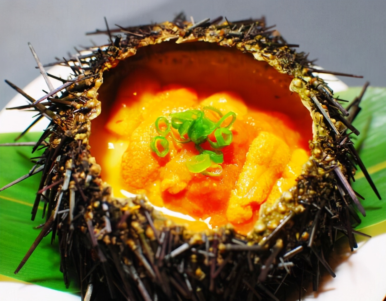 到底是海星吃海胆还是海胆吃海星,是海星吃海胆还是海胆吃海星