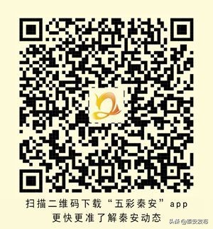 【巾帼风采录】张邱岩:患者心目中的大医仁者