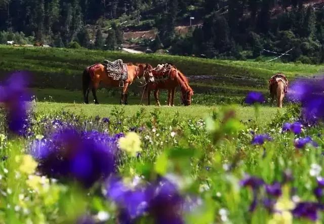 藏于山水间的度假酒店推荐,可以看日落和海景的度假酒店
