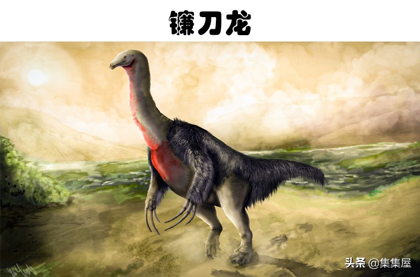 科学家发现的四种奇怪动物,科学家发现的极度奇怪的生物