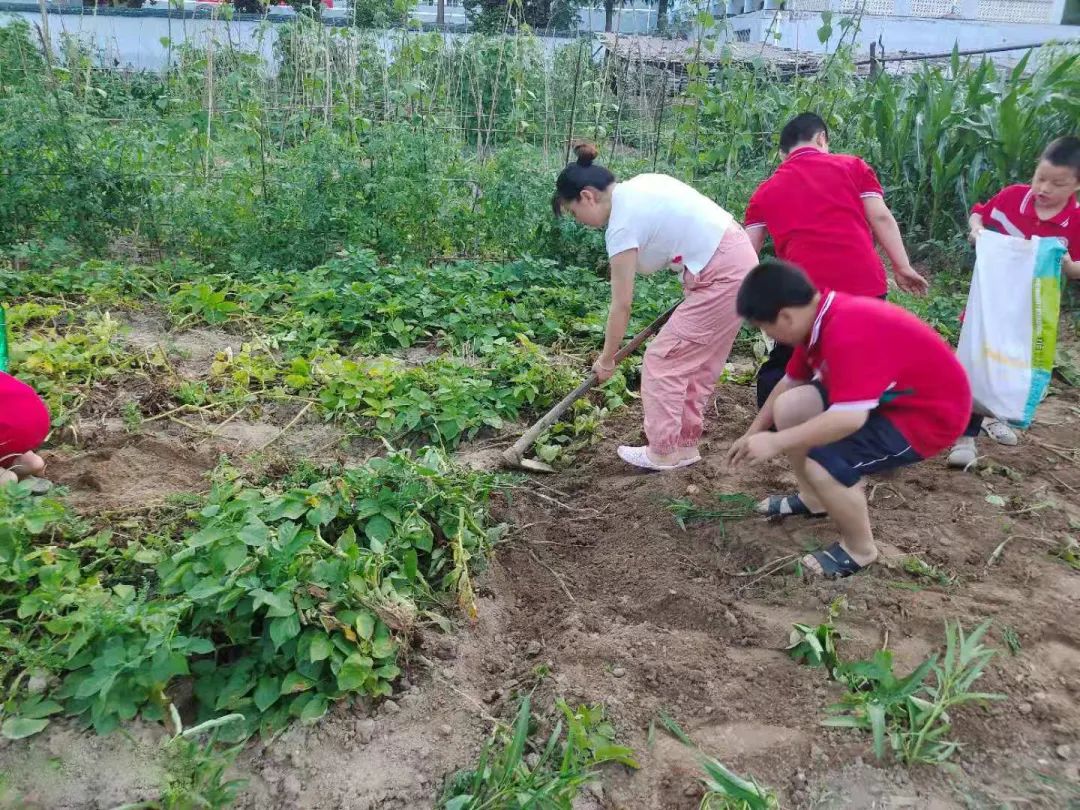 官山育霖,丹江口官山留守儿童托管中心