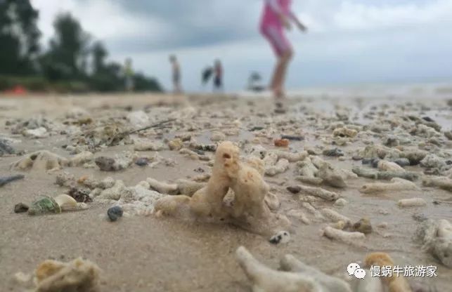 这个南国海岛高铁直达，海鲜超级便宜大人不累、孩子很开心