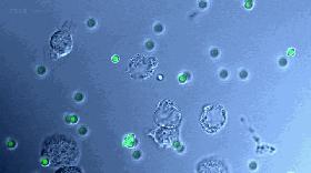 伤口结痂后特别特别的痒是为什么,结痂的地方奇痒难忍为什么