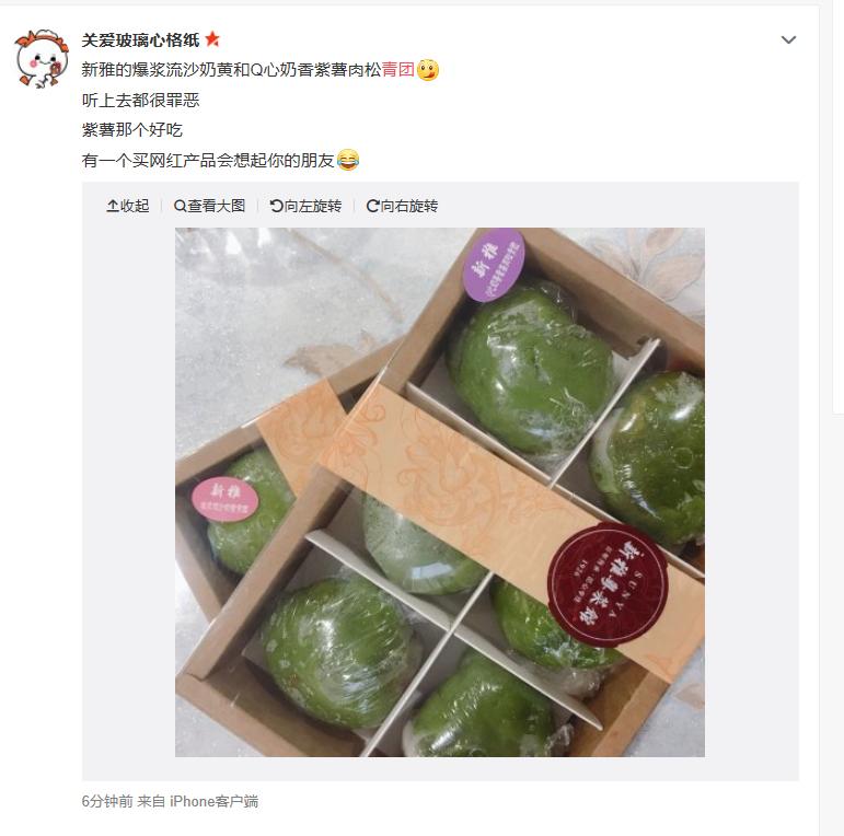 上海新雅腌笃鲜青团,新雅咸蛋黄肉松青团