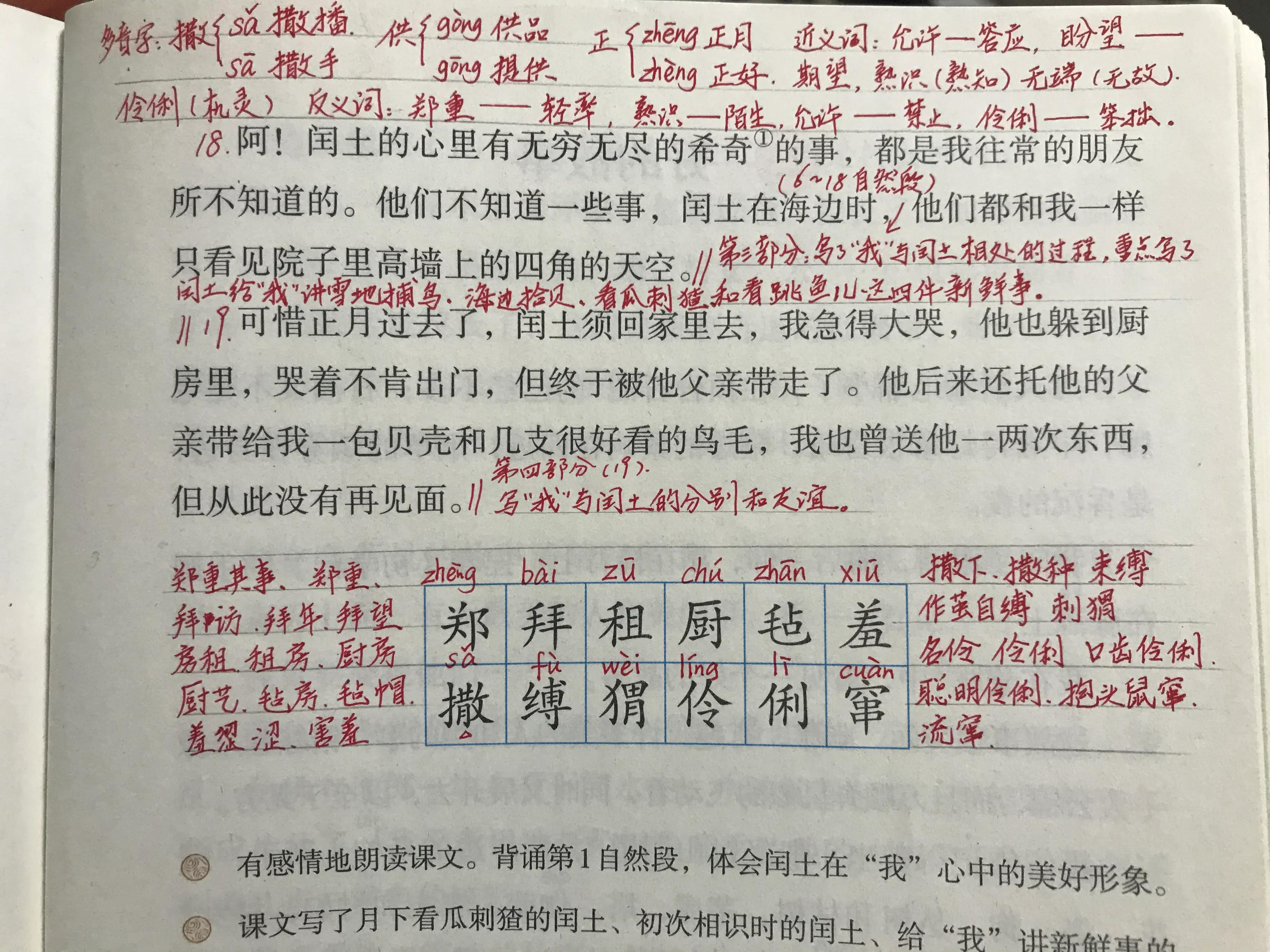 六年语文《少年闰土》,看资深教师讲解全文和课后题,知识点不少