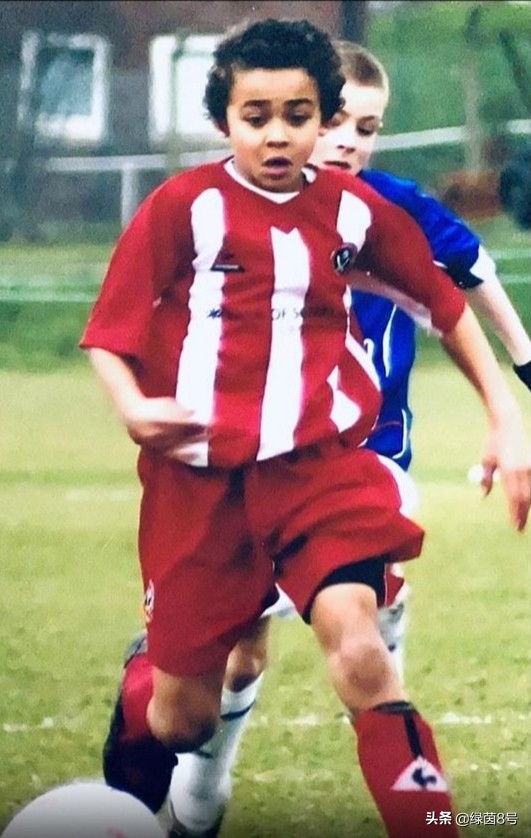 当红炸子鸡维尔茨,当红炸子鸡惹人喜爱