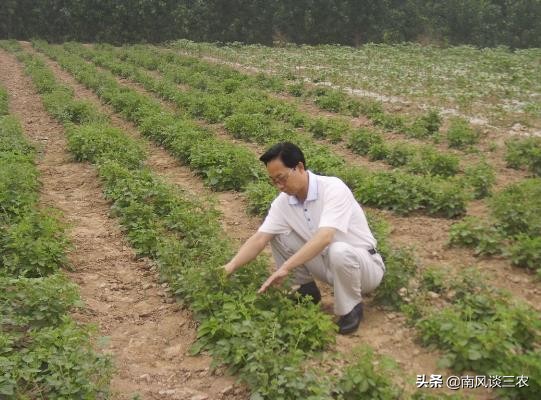 农村小本创业致富项目,农村创业投资小利润高