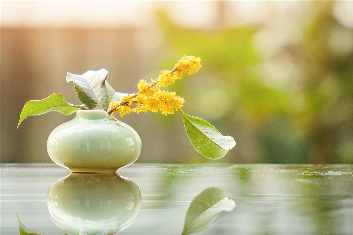 苏州秋天有什么好玩的,苏州秋天去哪里玩