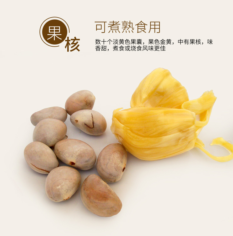 你不知道的菠萝蜜图片,菠萝蜜你不知道的秘密