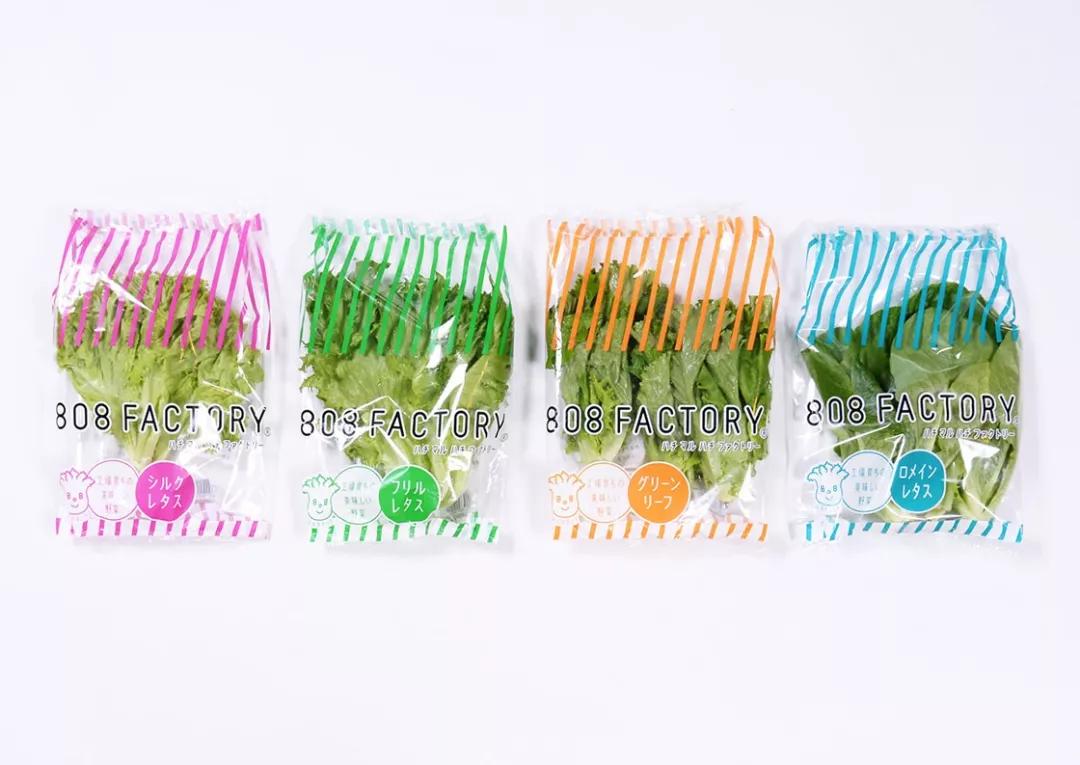 视觉传达设计如何提升美感,如何让品牌设计具有感染力