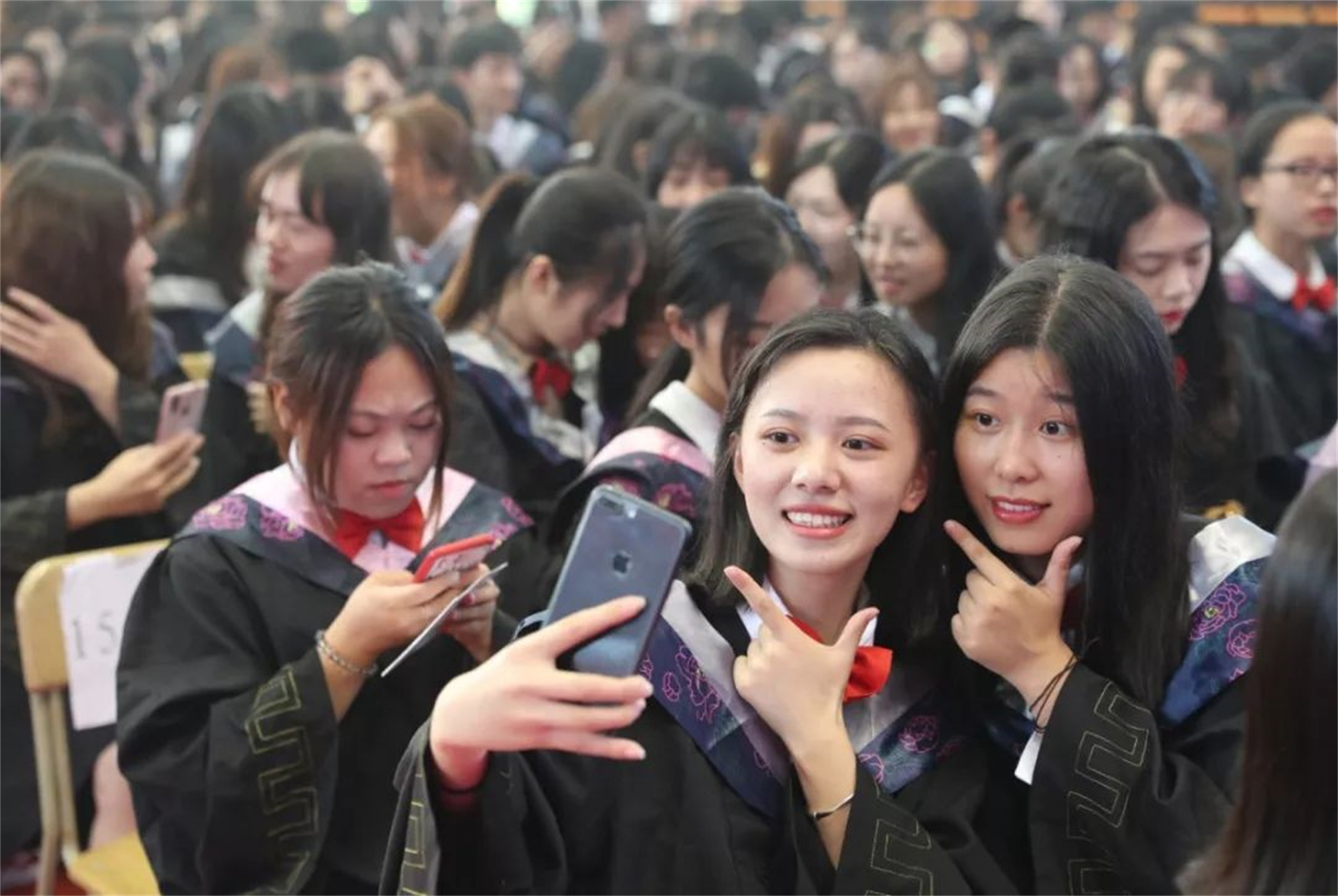 金融和会计学哪个专业好,金融和会计哪个难学