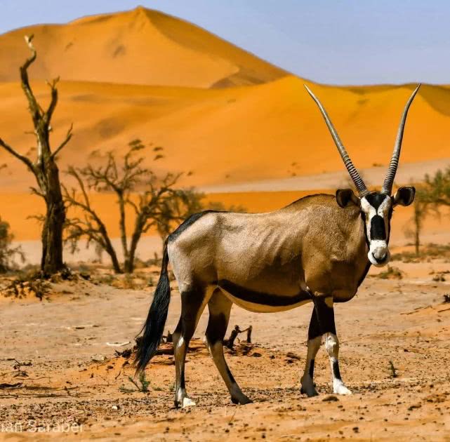 什么是非洲?这12处惊艳之地告诉你