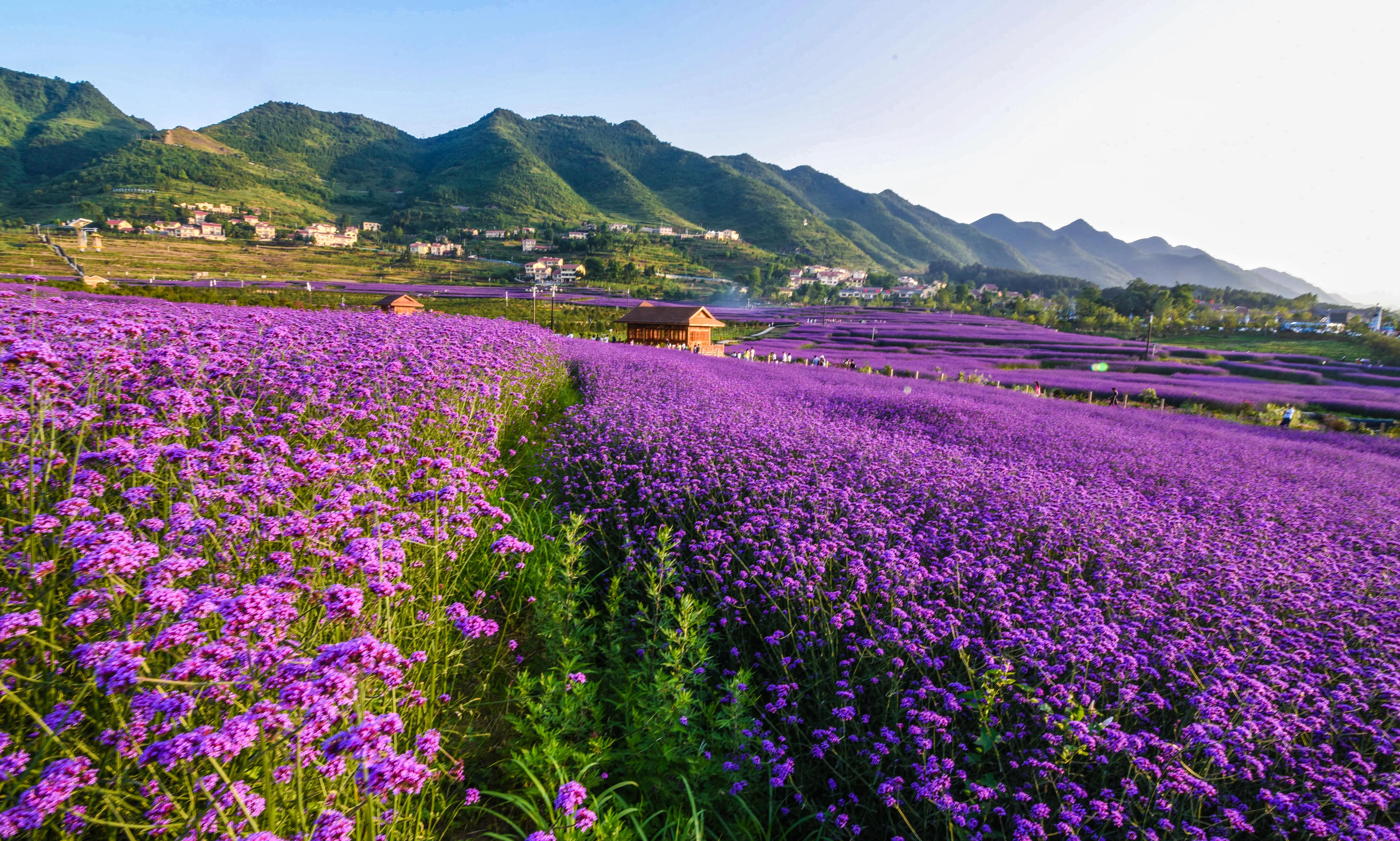 贵州大学1984级管科系同学欢聚毕节录