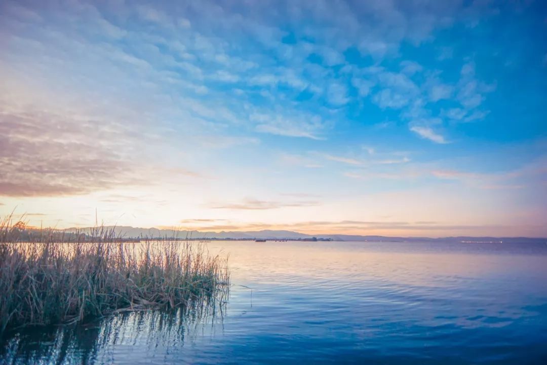 人生过往皆是过客的诗词,人生天地间红尘皆过客诗词
