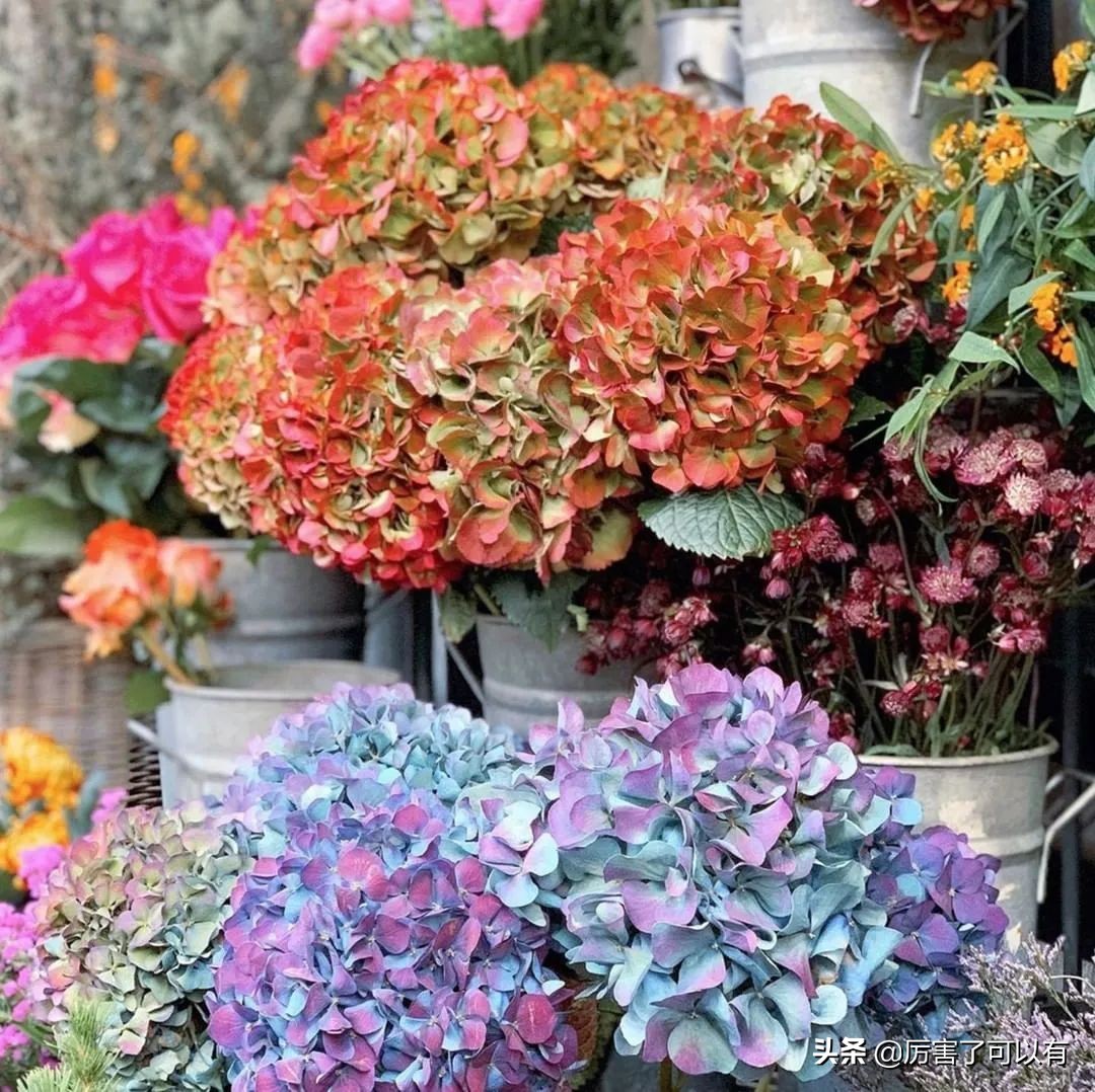 libertylondon圣诞礼盒,libertylondon品牌