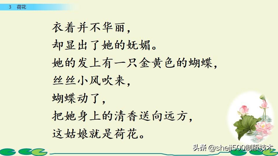 部编版三年级下册语文3荷花讲解,三年级下册部编语文荷花教学视频
