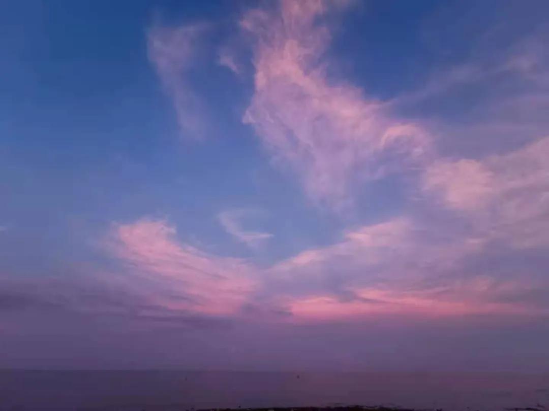 一叶访谈2019,一叶访谈