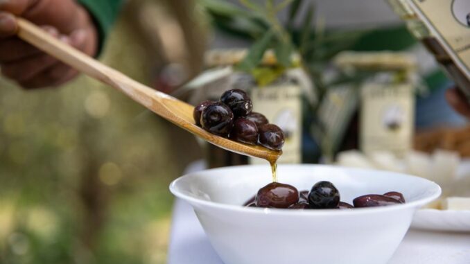 希腊美食攻略全部,希腊美食全集视频