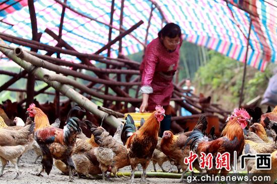 融安县脱贫名单,摘掉了贫困帽