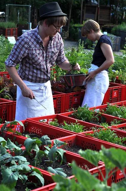 农庄餐饮怎么经营赚钱,怎么经营农家乐卖菜生意