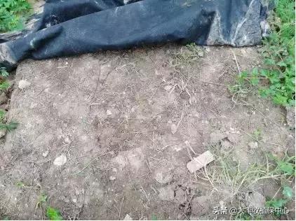 怎么除草又快又省力,除草用什么方法最省钱