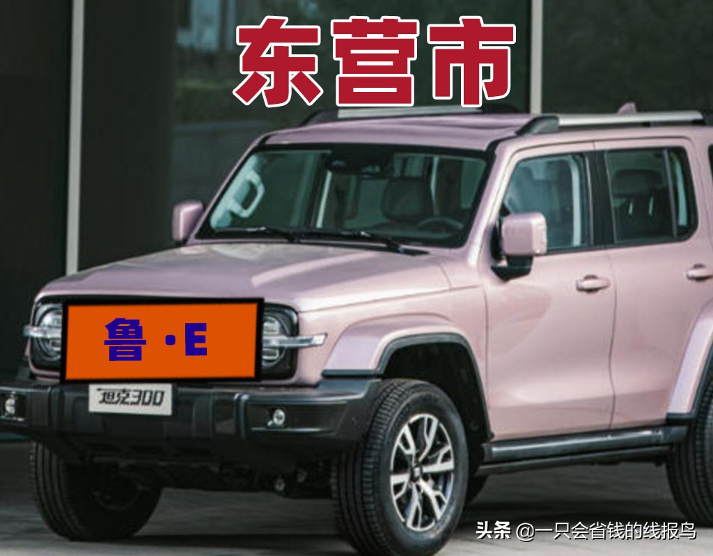 山东省汽车牌照字母排名规律,山东省车牌照排列顺序