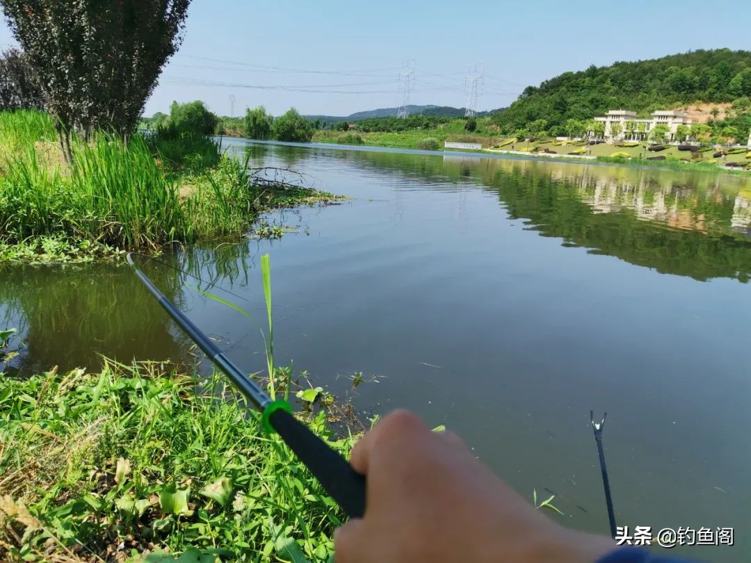 中国鱼竿排名前十的竿测评,1000以内没有好竿吗