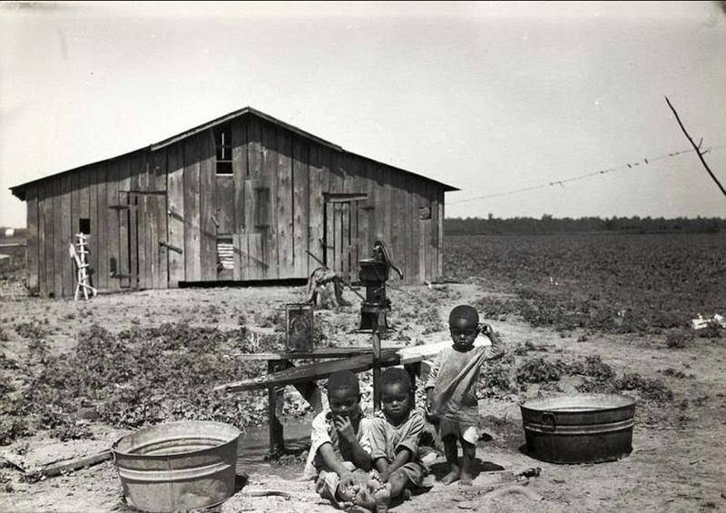 黑奴采棉花历史原视频,黑奴采棉花历史叫什么
