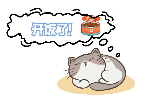 猫咪的天线有什么区别 (猫咪可以自带天线吗)