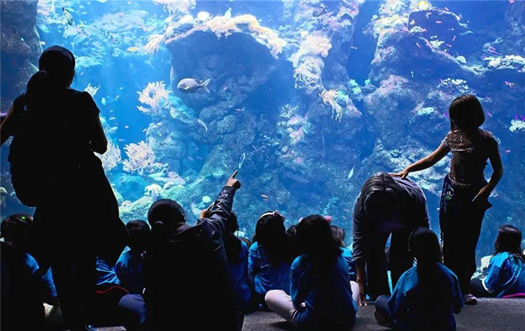 南京金鹰动物世界何时开,南京金鹰动物世界在哪里购票