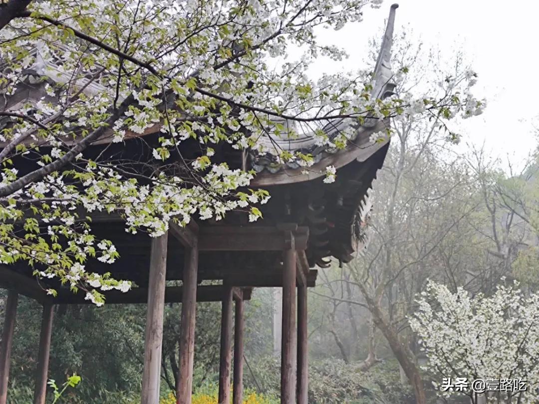 无锡人都在吃什么,无锡人为什么喜欢吃甜的