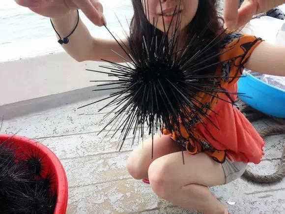 开海什么海鲜最好,开海季肥美海鲜