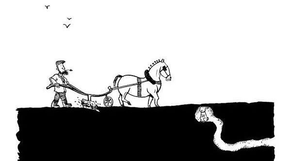 杀死兔子的方法,杀死兔子有什么后果