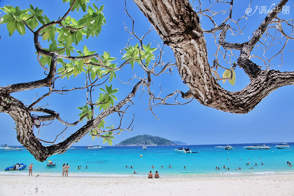 「泰国」SUQQU芭东新店打卡探店，附普吉岛一日游选岛攻略