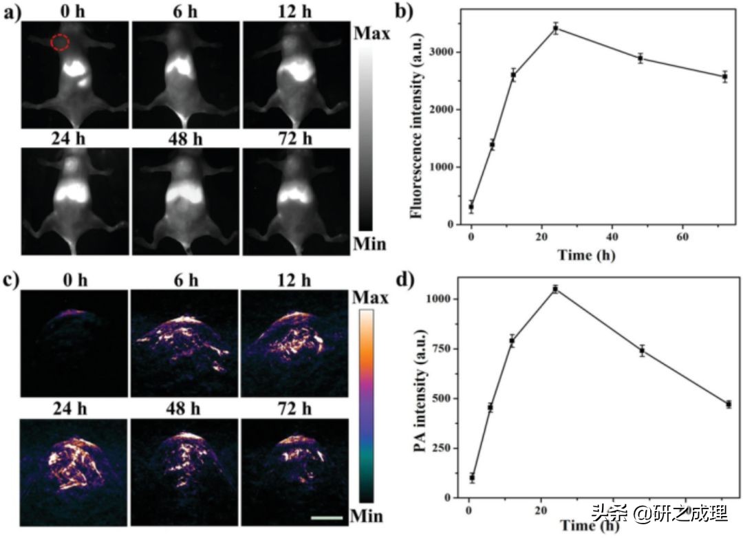 荧光探针肿瘤光动力治疗,荧光内窥镜治疗肿瘤