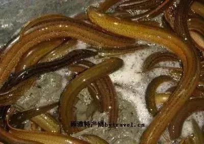 孝感的特产有哪些,孝感农产品特产有机食品