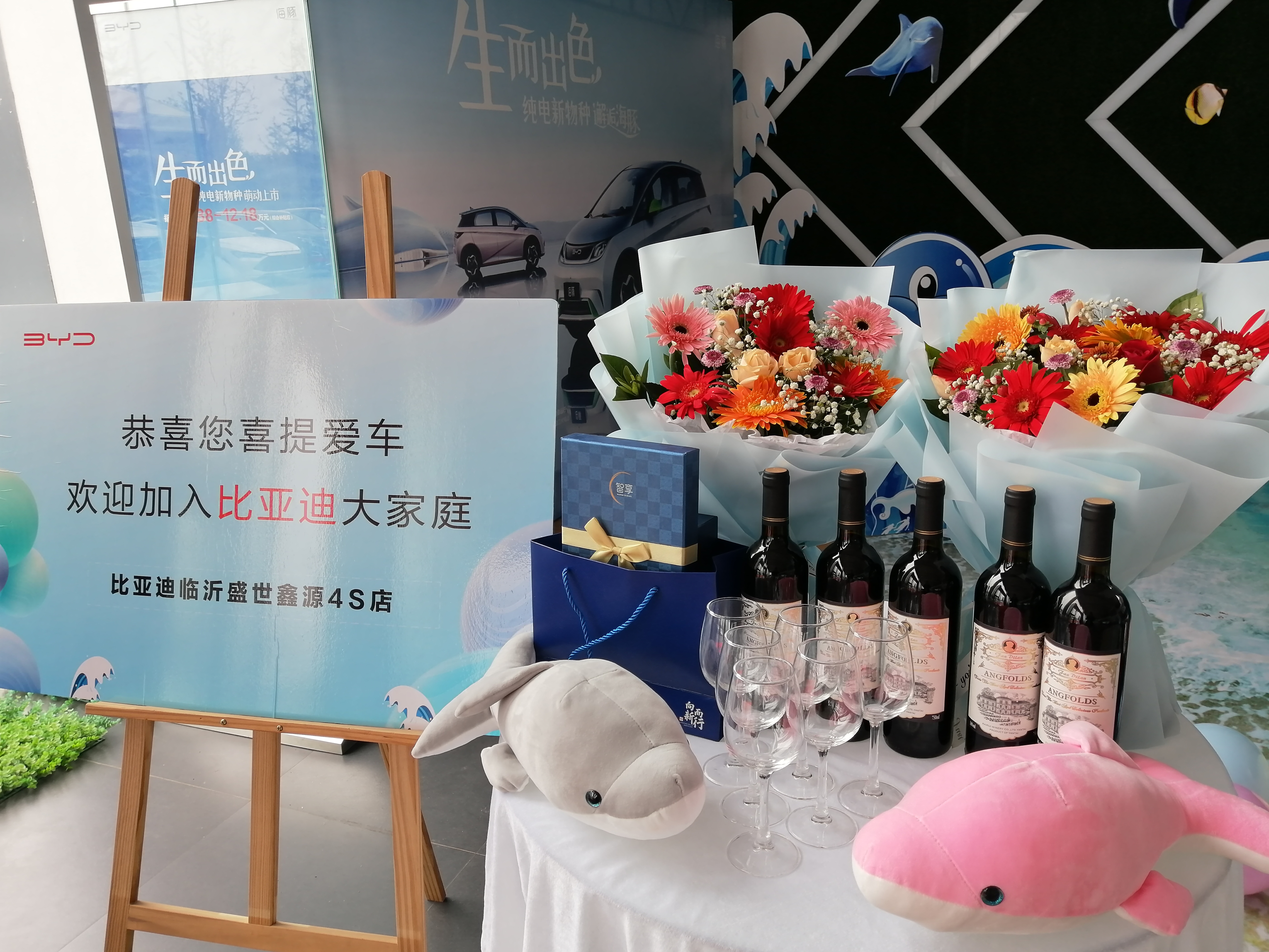 比亚迪海豚临沂盛世鑫源,临沂盛世鑫源年会盛典