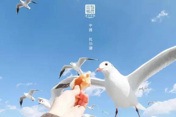 云南抚仙湖欢乐大世界，寒武纪小镇，文旅投资新热点