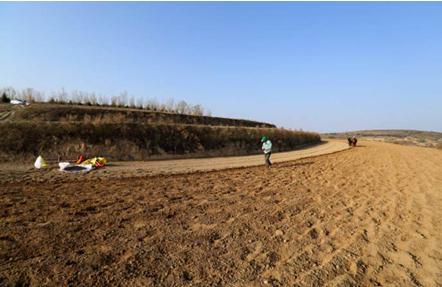 足球场上思考人生,足球励志精辟感言