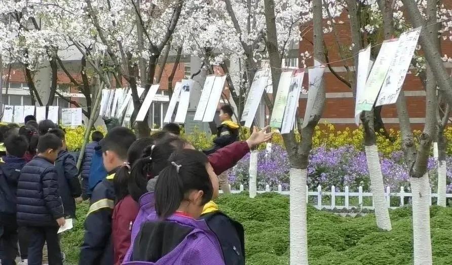 南京十所最好的中学,南京市最牛的中学